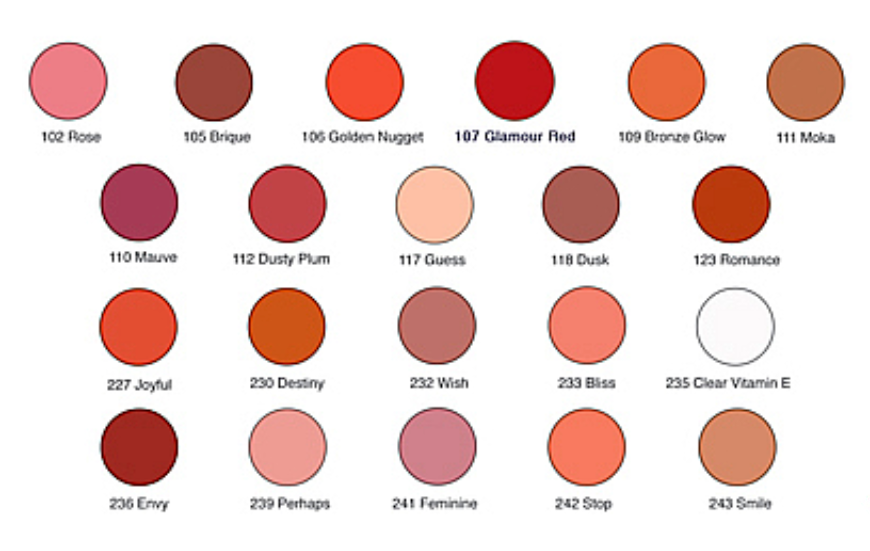 SORME COSMETICS Perfect Performance Lip Color, 105 Brique, 0.14 Oz (4g) - oddros.shop