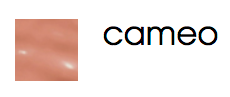 FACE atelier Lipgloss - Cameo - oddros.shop