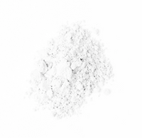 FACE Atelier Glass Skin Water Powder
