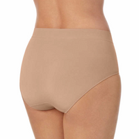 Carole Hochman Ladies' Seamless Brief, {5-pack} assorted colors