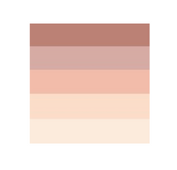 Felina Pima Cotton Hi-Cut Underwear - Sun Kissed (5-pack)