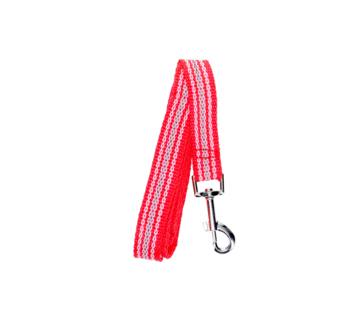 Kennel Club Medium Dog Leashes, Assorted ( M )
