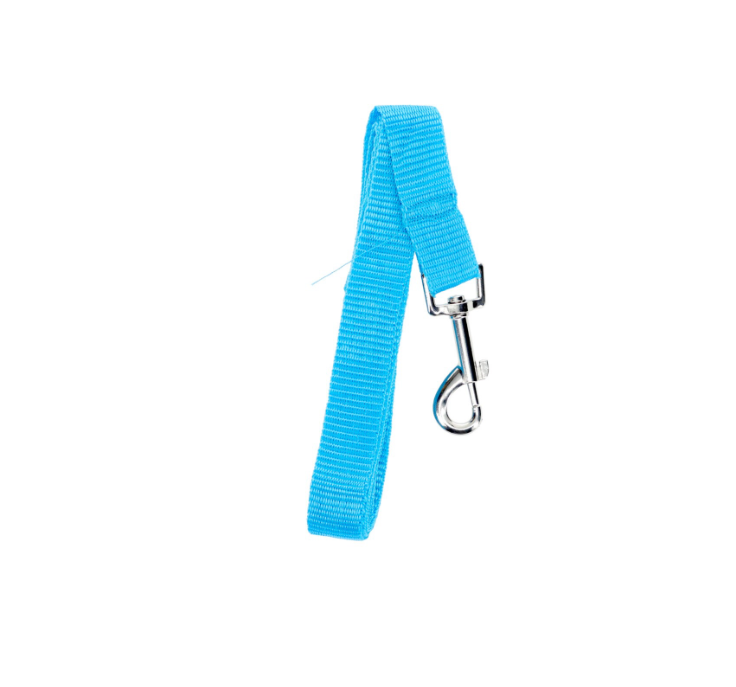 Kennel Club Medium Dog Leashes, Assorted ( M )