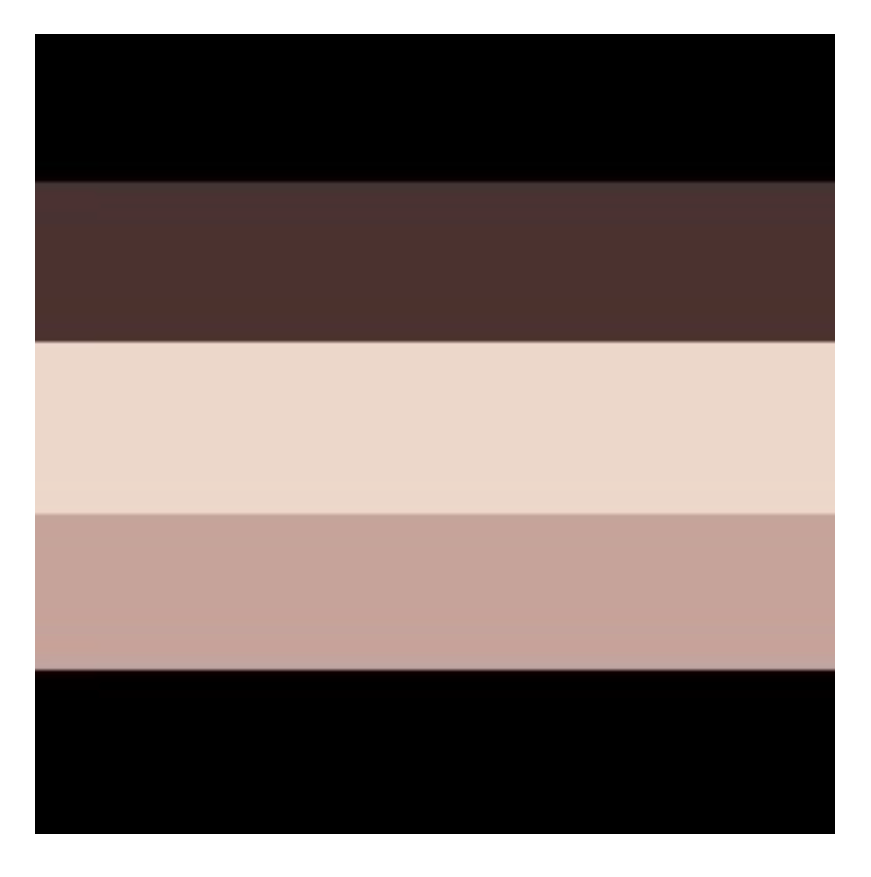 Felina Body Smooth Hi Cut Seamless Brief - Toffee Box (5-pack)
