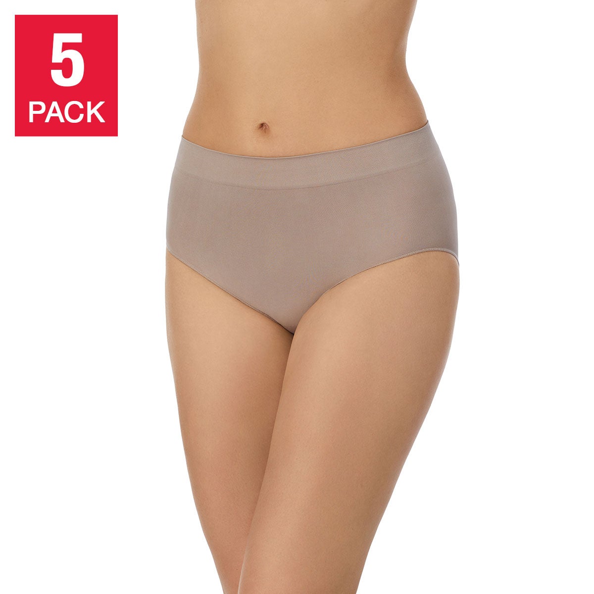 Carole Hochman Ladies' Seamless Brief, {5-pack} Assorted colors