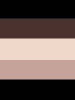 Felina Body Smooth Seamless Brief - Toffee Box (5-pack)
