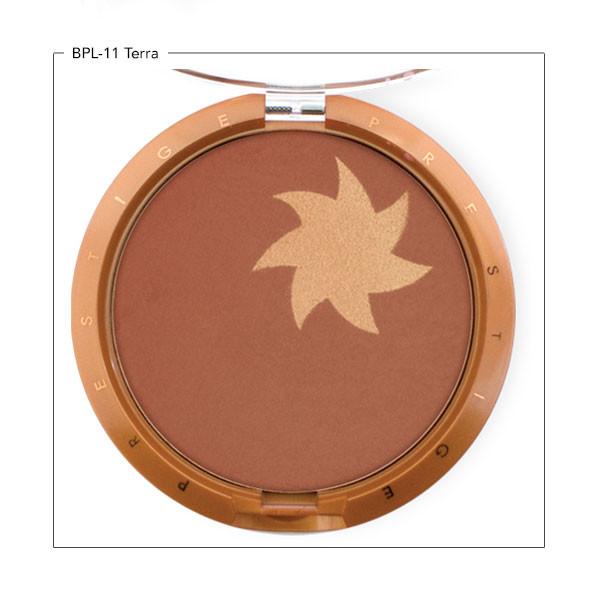 PRESTIGE COSMETICS SunFlower Illuminating Bronzing Powder,  BPL-11 Terra - oddros.shop