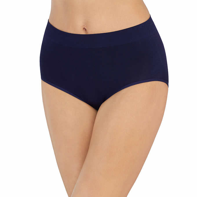 Carole Hochman Ladies' Seamless Brief - X-Large (5-pack) - oddros.shop
