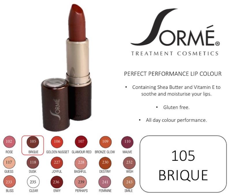 SORME COSMETICS Perfect Performance Lip Color, 105 Brique, 0.14 Oz (4g) - oddros.shop