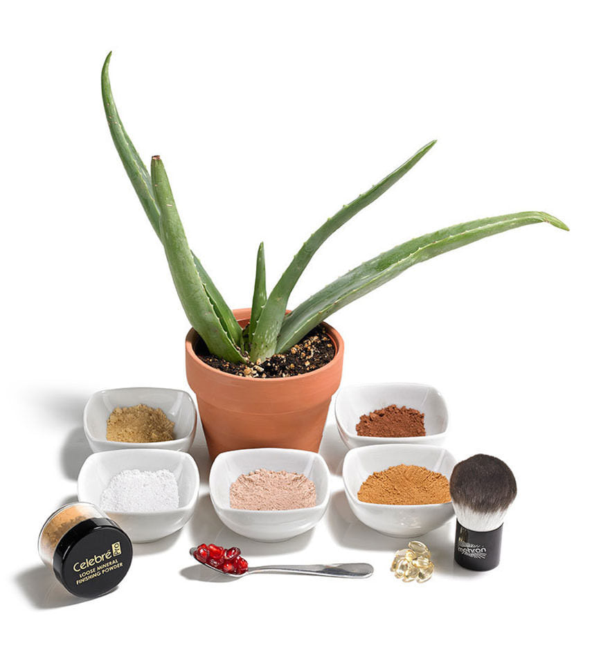 Mehron Makeup Celebre Pro Mineral Powder - Sienna - oddros.shop