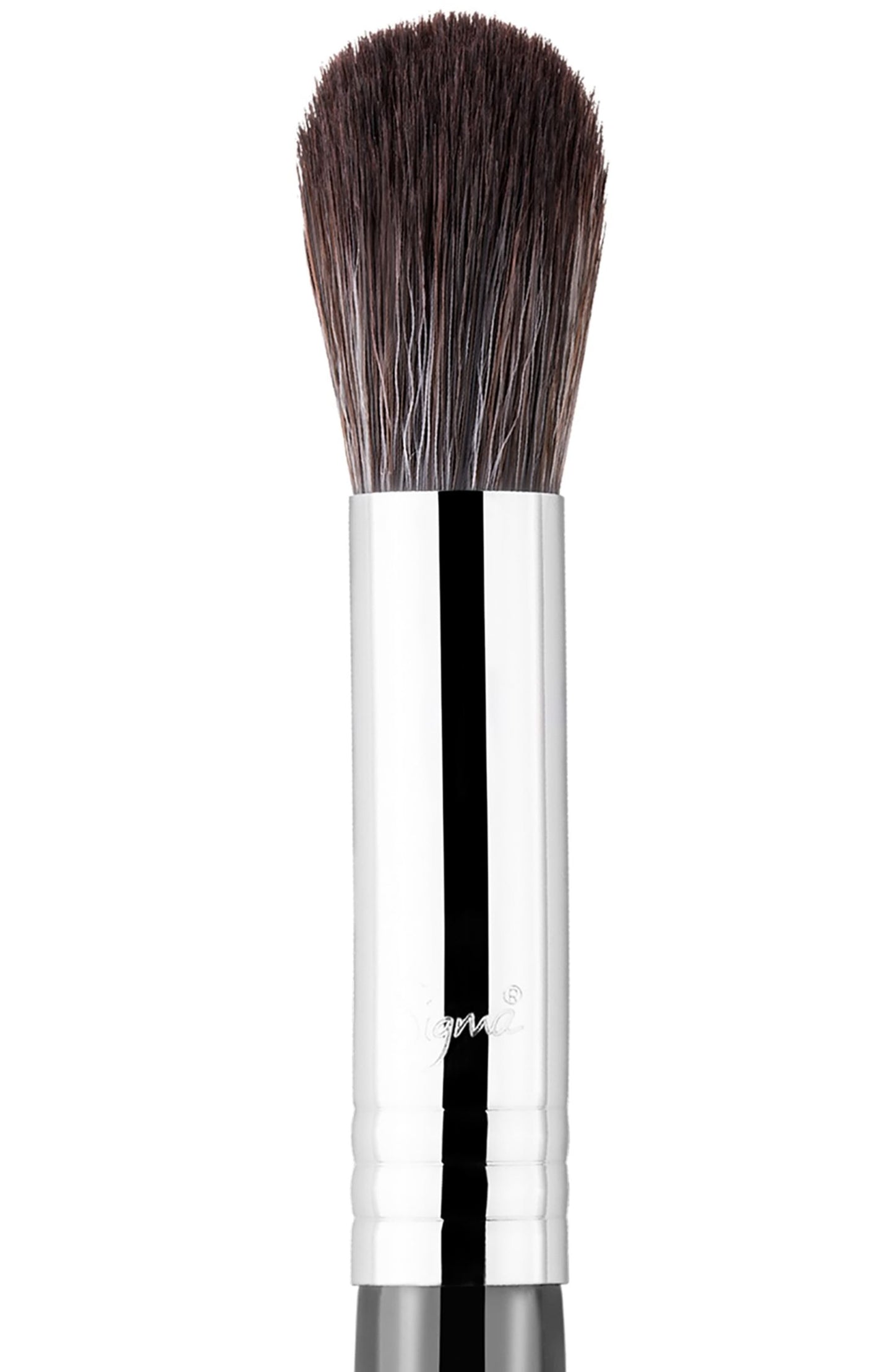 Sigma Beauty F64 Soft Blend Concealer Makeup Brush - oddros.shop