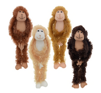 Monkeys