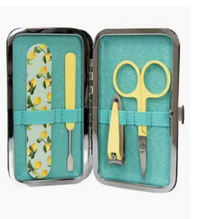 Manicure Purse