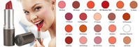 SORME COSMETICS Perfect Performance Lip Color, 102 Rose, 0.14 Oz (4g) - oddros.shop