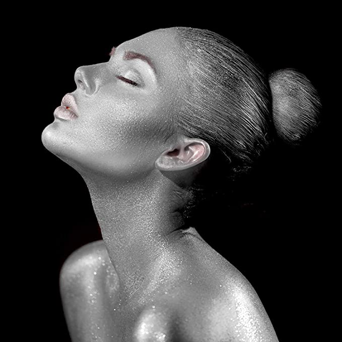 Mehron Makeup Metallic Powder with Mixing Liquid - Silver 